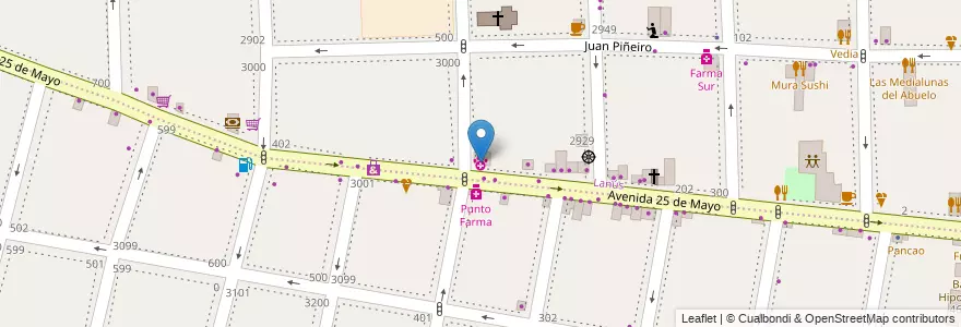 Mapa de ubicacion de Pro Plan en الأرجنتين, بوينس آيرس, Partido De Lanús, Lanús Oeste.