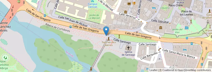 Mapa de ubicacion de Puente Romano en Spain, Castile And León, Salamanca, Campo De Salamanca, Salamanca.