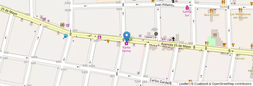 Mapa de ubicacion de Punto Farma en Arjantin, Buenos Aires, Partido De Lanús, Lanús Oeste.