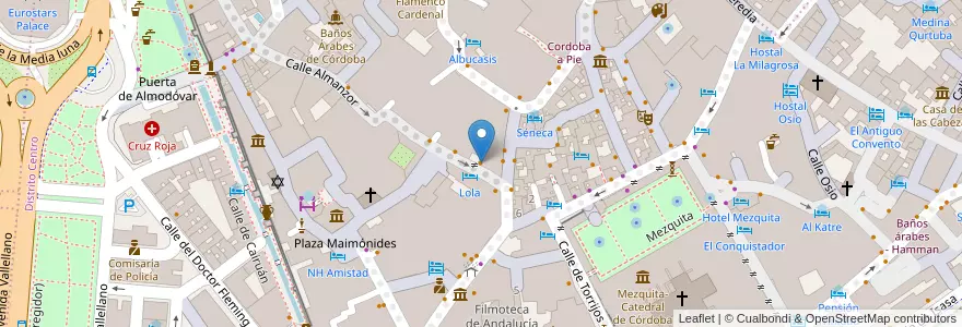Mapa de ubicacion de Restaurante El Rincón de Carmen en Spagna, Andalucía, Cordova, Cordova.