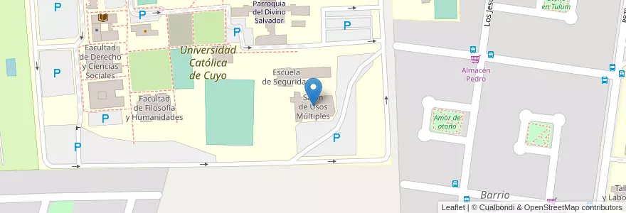 Mapa de ubicacion de Salón de Usos Múltiples en Argentina, San Juan, Cile, Rivadavia.