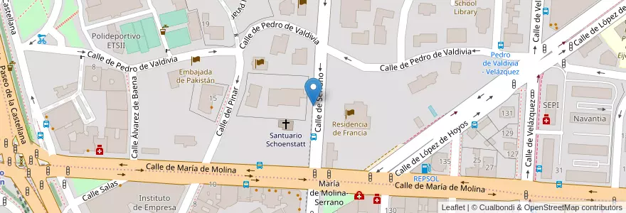 Mapa de ubicacion de SERRANO, CALLE, DE,101 en 스페인, Comunidad De Madrid, Comunidad De Madrid, Área Metropolitana De Madrid Y Corredor Del Henares, 마드리드.