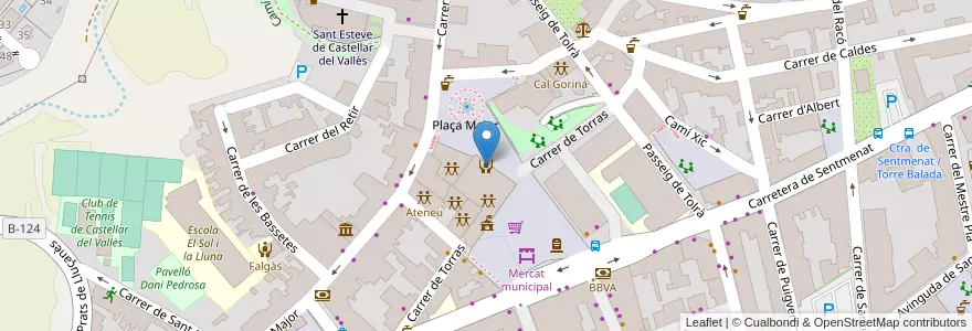 Mapa de ubicacion de Servei d'informació i atenció a les dones (SIAD) de Castellar del Vallès en スペイン, カタルーニャ州, Barcelona, Vallès Occidental, Castellar Del Vallès.