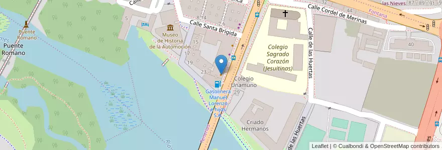 Mapa de ubicacion de Telepizza en Spain, Castile And León, Salamanca, Campo De Salamanca, Salamanca.