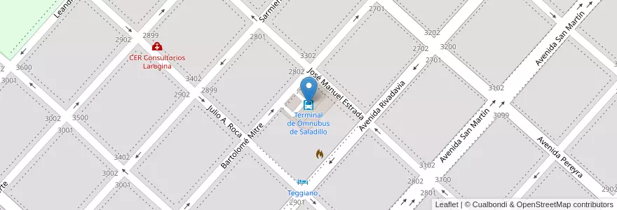 Mapa de ubicacion de Terminal de Ómnubus de Saladillo en 阿根廷, 布宜诺斯艾利斯省, Partido De Saladillo, Saladillo.