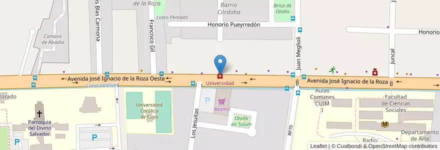 Mapa de ubicacion de Universidad en Arjantin, San Juan, Şili, Rivadavia.