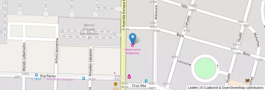 Mapa de ubicacion de Veterinaria Bodereau en الأرجنتين, Córdoba, Departamento Capital, Pedanía Capital, Córdoba, Municipio De Córdoba.