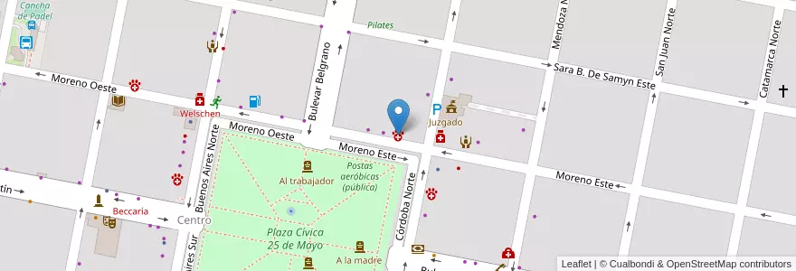 Mapa de ubicacion de Veterinaria Pellegrinet en آرژانتین, سانتافه, Departamento Castellanos, Municipio De Humberto Primo, Humberto Primo.