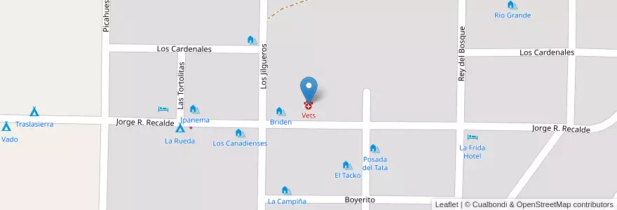 Mapa de ubicacion de Vets en 阿根廷, Córdoba, Departamento San Alberto, Municipio De Nono, Pedanía Nono, Nono.