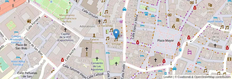 Mapa de ubicacion de Vintage en Espanha, Castela E Leão, Salamanca, Campo De Salamanca, Salamanca.