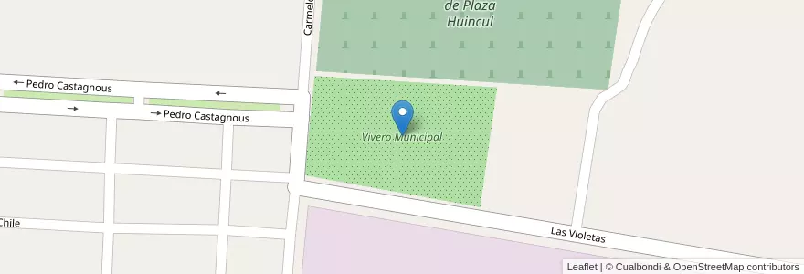 Mapa de ubicacion de Vivero Municipal en Argentina, Chile, Neuquén, Departamento Confluencia, Municipio De Plaza Huincul.