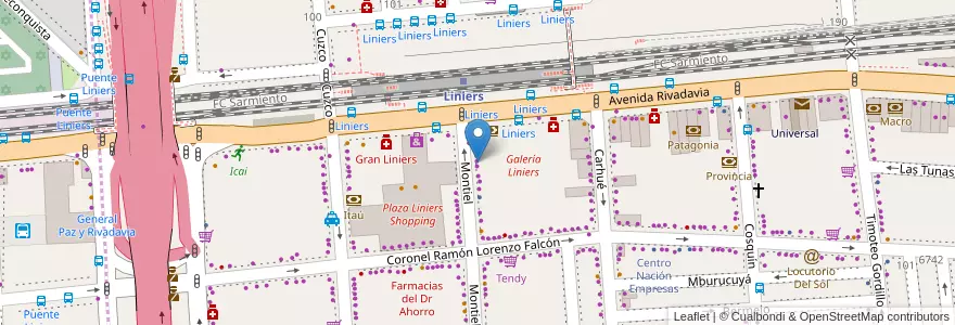 Mapa de ubicacion de Western Union en Argentinien, Ciudad Autónoma De Buenos Aires, Comuna 9, Buenos Aires.
