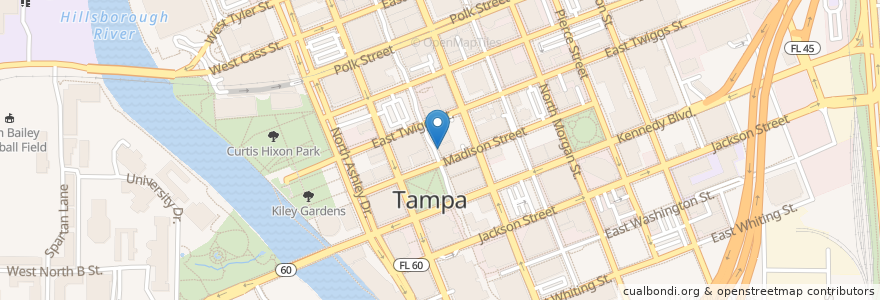 Mapa de ubicacion de Taco Bus en Amerika Birleşik Devletleri, Florida, Hillsborough County, Tampa.