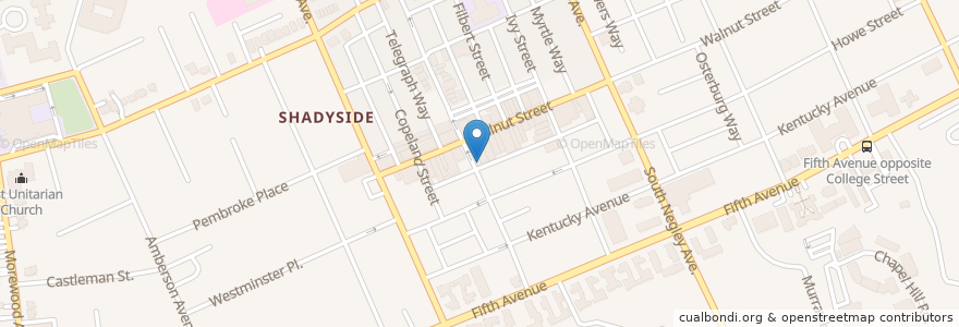 Mapa de ubicacion de Shady Grove en Stati Uniti D'America, Pennsylvania, Allegheny County, Pittsburgh.