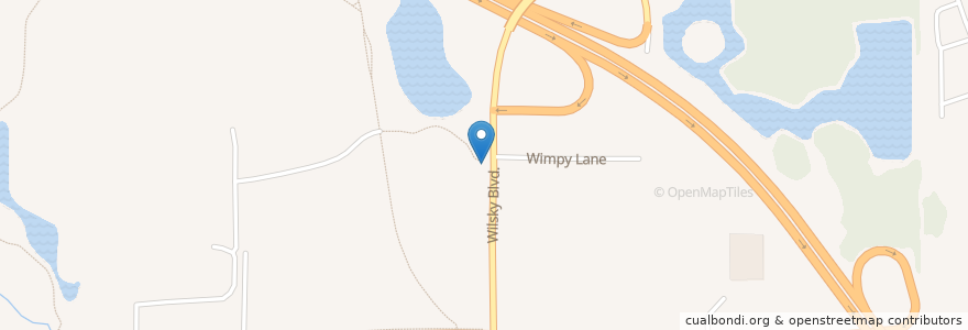 Mapa de ubicacion de Wilsky Blvd. Trailhead en Estados Unidos Da América, Flórida, Hillsborough County.