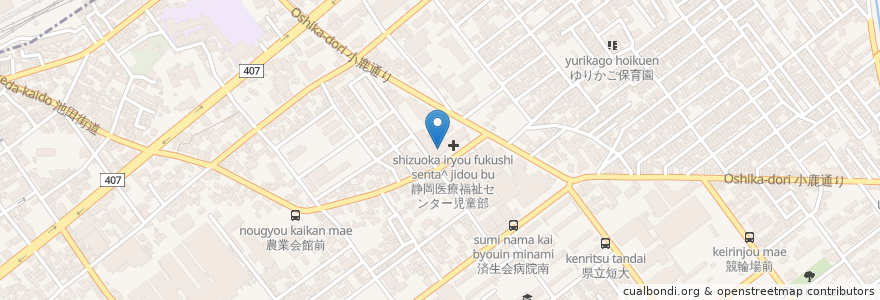 Mapa de ubicacion de 静岡医療福祉センター成人部 en 日本, 静岡県, 静岡市, 駿河区.