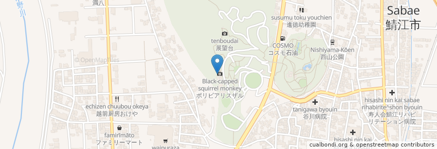 Mapa de ubicacion de 鯖江市老人福祉センター嚮陽苑 en 日本, 福井県, 鯖江市.