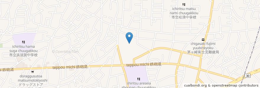 Mapa de ubicacion de 白十字会林間学校 en 日本, 神奈川県, 茅ヶ崎市.