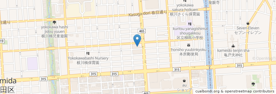 Mapa de ubicacion de 社会福祉法人賛育会　東京清風園 en اليابان, 東京都, 墨田区.