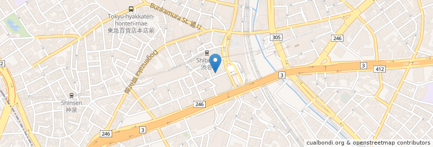 Mapa de ubicacion de ちゃんぽん en Japonya, 東京都, 渋谷区.
