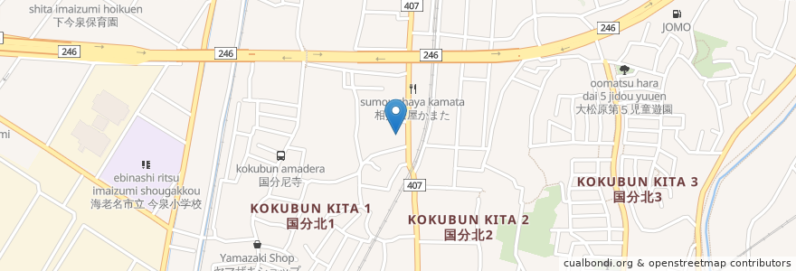 Mapa de ubicacion de Yayoi Clinic en Japan, Kanagawa Prefecture, Ebina.