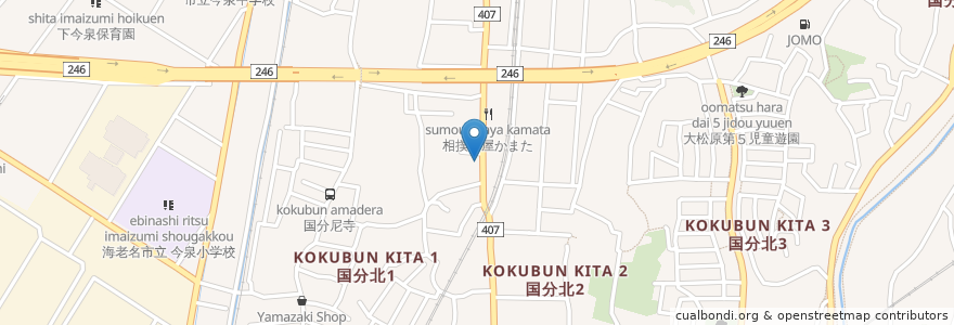 Mapa de ubicacion de サガミ調剤薬局 en 日本, 神奈川県, 海老名市.