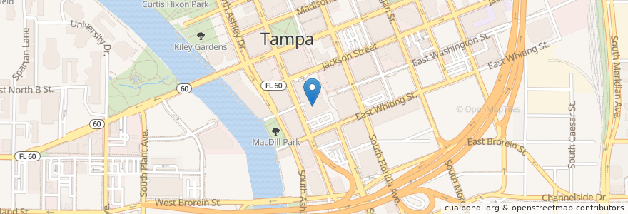 Mapa de ubicacion de Hilton Parking Garage en الولايات المتّحدة الأمريكيّة, فلوريدا, Hillsborough County, Tampa.