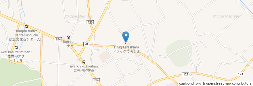 Mapa de ubicacion de ドラッグてらしま (Drug Terashima) en Japan, Präfektur Ibaraki, 坂東市.