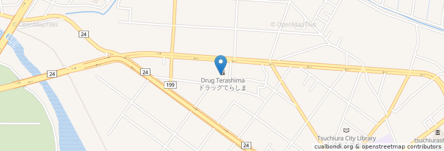 Mapa de ubicacion de ドラッグてらしま (Drug Terashima) en Japonya, 茨城県, 土浦市.