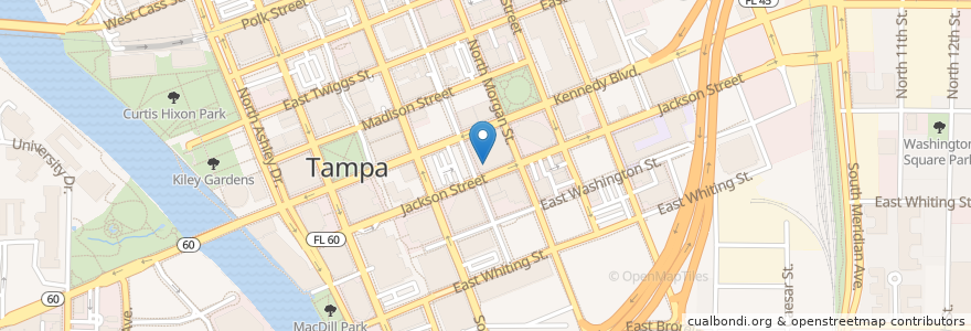 Mapa de ubicacion de Bruggers Bagels en 美利坚合众国/美利堅合眾國, 佛罗里达州/佛羅里達州, Hillsborough County, Tampa.