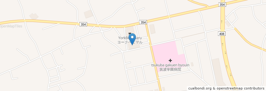 Mapa de ubicacion de カワチ薬品 en 日本, 茨城県, 筑波市.