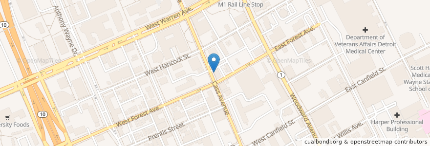 Mapa de ubicacion de Midtown Shangri-La en 미국, 미시간, Wayne County, Detroit.