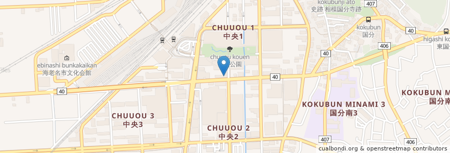 Mapa de ubicacion de 横浜銀行海老名支店 en 日本, 神奈川県, 海老名市.