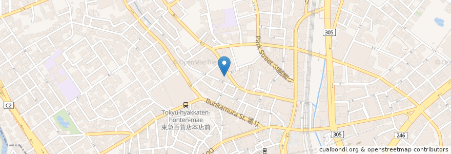Mapa de ubicacion de かにチャーハンの店 en Jepun, 東京都, 渋谷区.