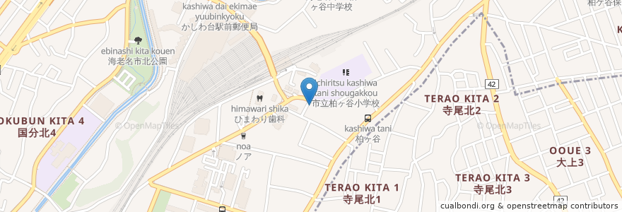 Mapa de ubicacion de ポプラ薬局 en 일본, 가나가와현, 海老名市.