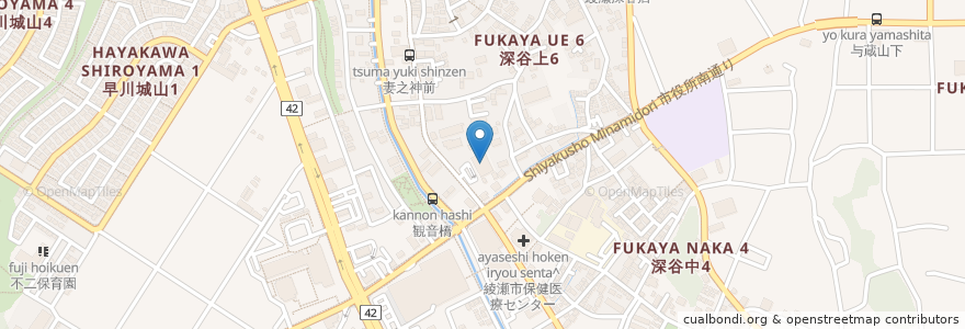Mapa de ubicacion de ウェルパーク 綾瀬深谷店 en 일본, 가나가와현, 綾瀬市.