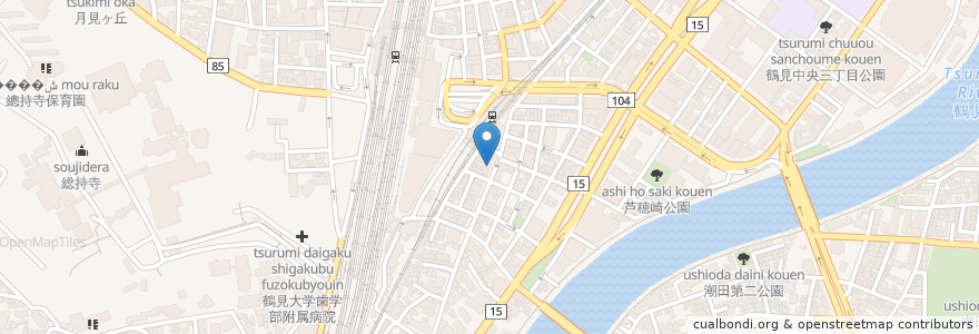 Mapa de ubicacion de さなだ医院 en Japan, Präfektur Kanagawa, Yokohama, 鶴見区.