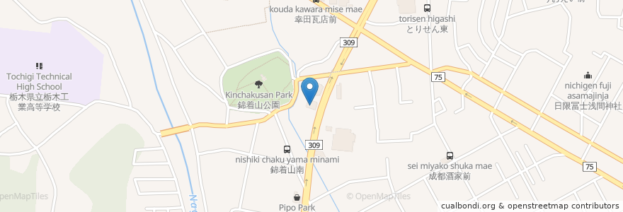 Mapa de ubicacion de かっぱ寿司 en 日本, 栃木県, 栃木市.
