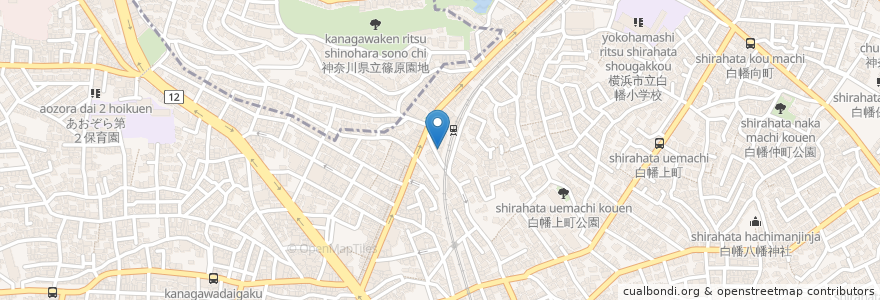 Mapa de ubicacion de 大林歯科医院 en Japón, Prefectura De Kanagawa, Yokohama, 神奈川区.