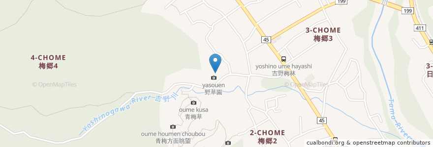 Mapa de ubicacion de 天澤院 en Япония, Токио, Омэ.
