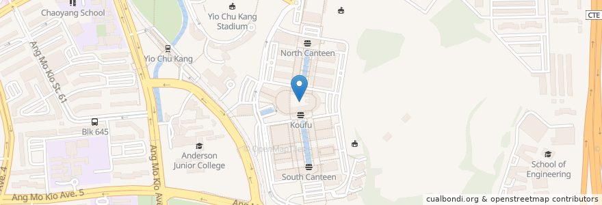 Mapa de ubicacion de Nanyang Polytechnic en Singapura, Central.