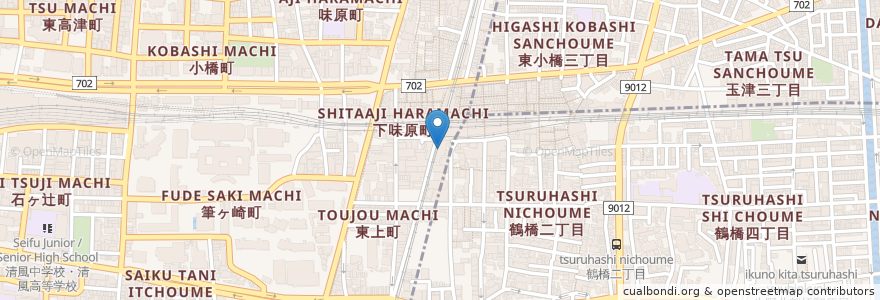 Mapa de ubicacion de Lotteria en Japan, Osaka Prefecture, Osaka, Tennoji Ward.