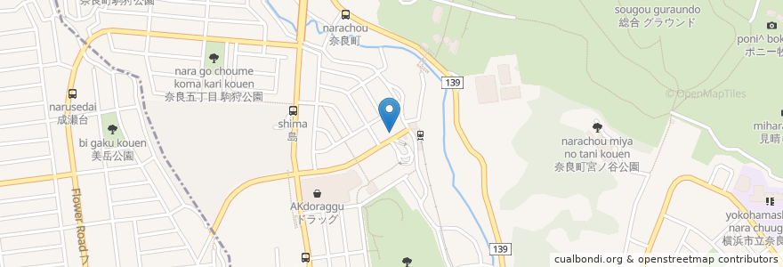 Mapa de ubicacion de こどもの国整形外科 en Japonya, 神奈川県, 横浜市, 青葉区.