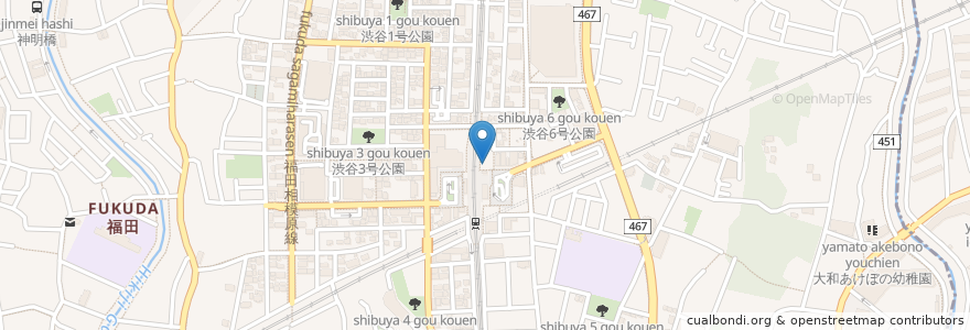 Mapa de ubicacion de 樹薬局 en Japan, 神奈川県, 大和市.