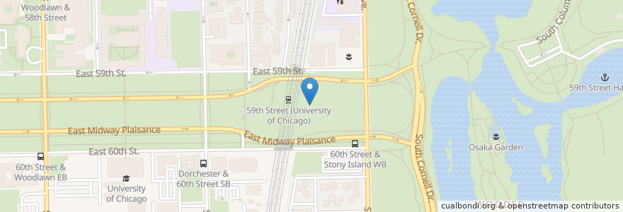 Mapa de ubicacion de Cheney-Goode Memorial en Verenigde Staten, Illinois, Chicago.