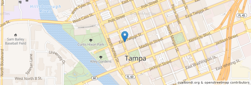 Mapa de ubicacion de Eddie & Sam's en 미국, 플로리다주, Hillsborough County, Tampa.