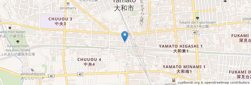 Mapa de ubicacion de 田辺薬局 en 日本, 神奈川縣, 大和市.