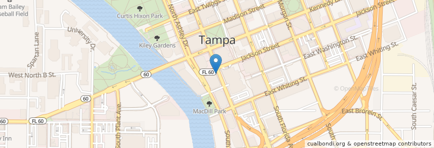 Mapa de ubicacion de Tropical Café Smoothie en アメリカ合衆国, フロリダ州, Hillsborough County, Tampa.
