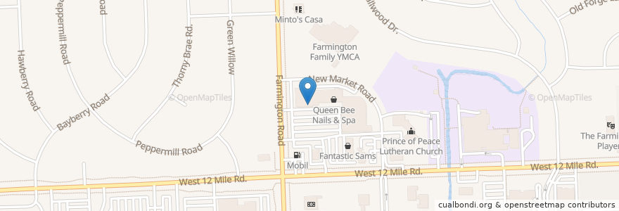 Mapa de ubicacion de Rite Aid en 美利坚合众国/美利堅合眾國, 密歇根州, Oakland County, Farmington Hills.