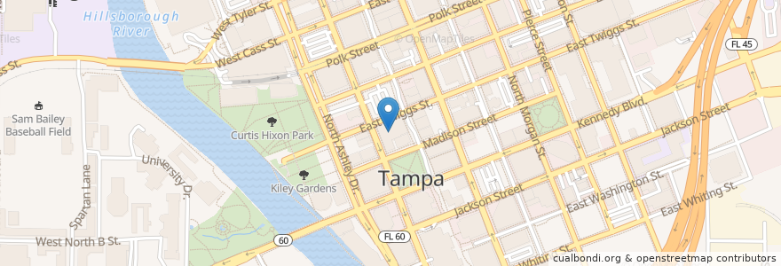 Mapa de ubicacion de Thai Cafe en 美利坚合众国/美利堅合眾國, 佛罗里达州/佛羅里達州, Hillsborough County, Tampa.